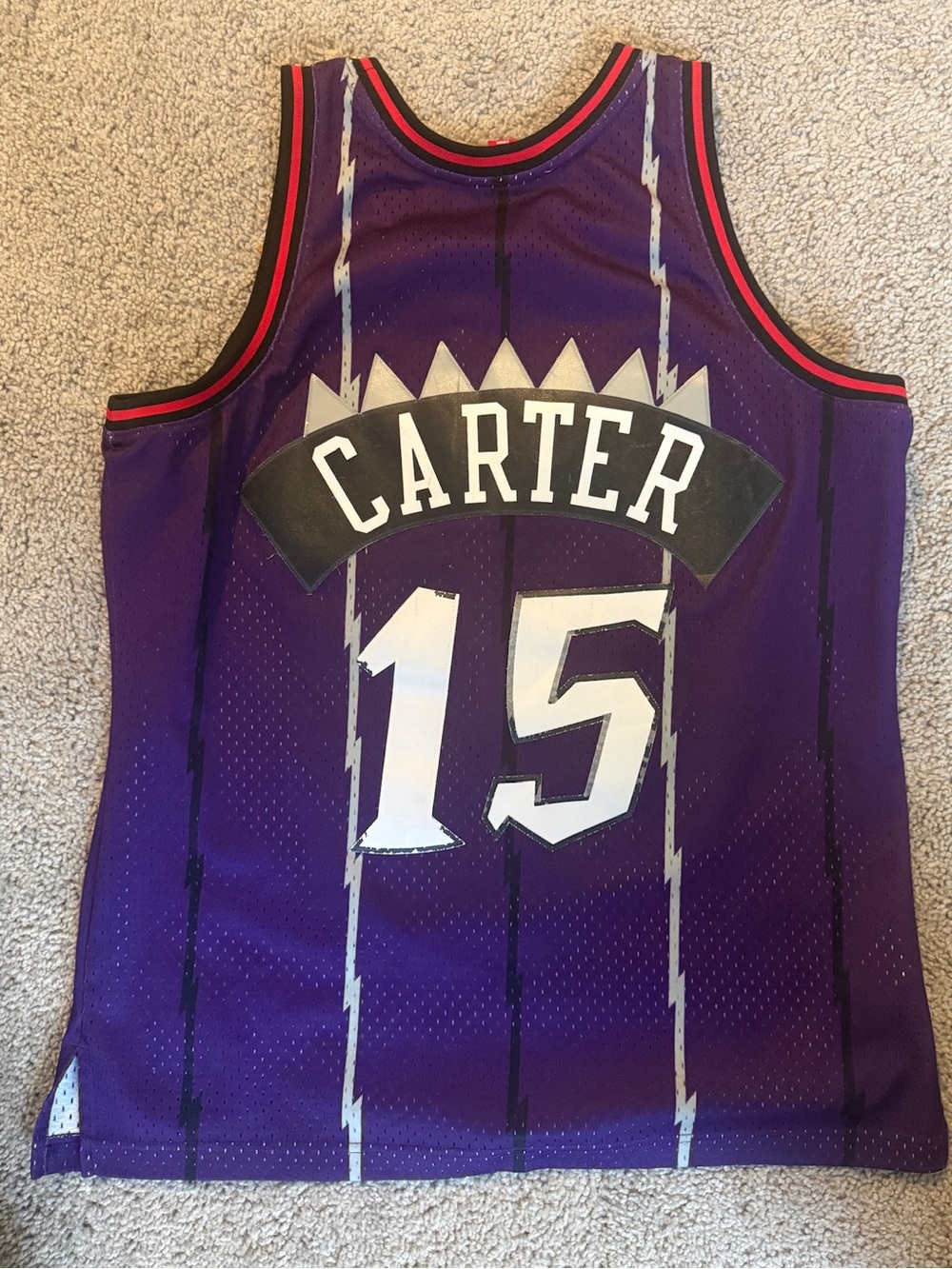 Raptors Carter #15 Basketball Jersey